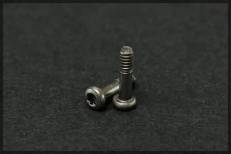 Bodywork M2.2 T6 titanium screws