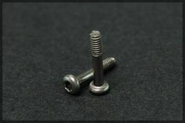 Wedge M2 T6 titanium screws