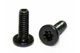  Torx  Screw M2 x 4 mm. 