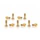 Screw kit M2,5x6 mm semi threaded in brass