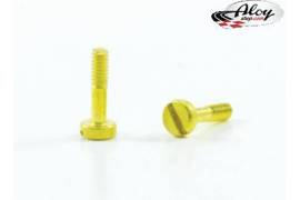 Special screw for motor mounts