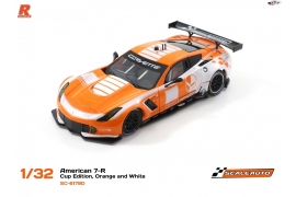 A7R GT3 Cup Edition Silver/Red