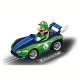 Mario Kart Wii WIld Wing +Luigi