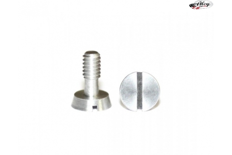 Special aluminium screw for motor mounts