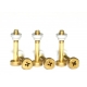 Suspension screws standard brass L with nuts
