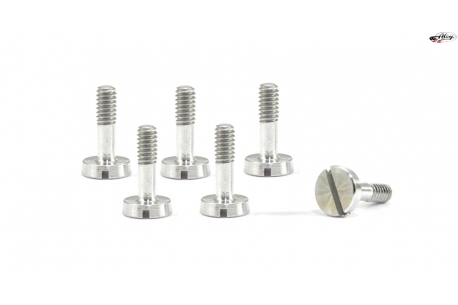Special suspension screws  M2x7 mm