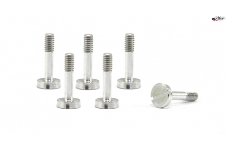 Special suspension screws  M2x9 mm