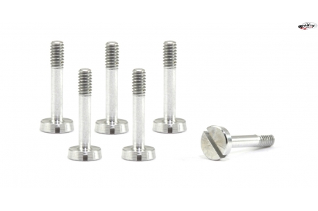 Special suspension screws  M2x11 mm