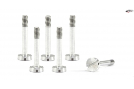 Special suspension screws  M2x13 mm