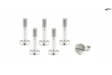 Special suspension screws  M2x9 mm