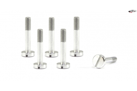Special suspension screws  M2x11 mm