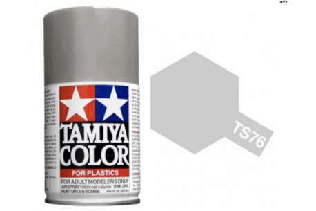 Silver Mica  Paint Spray TS-76