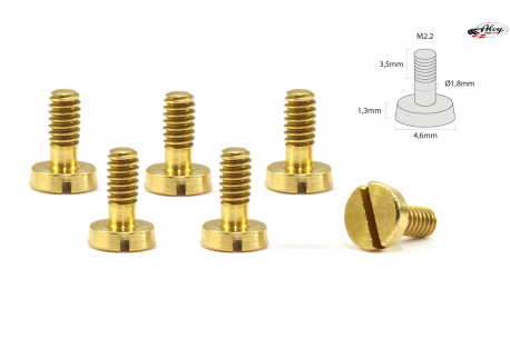 Special screw with conical head