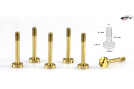 Special suspension screws  M2x13 mm