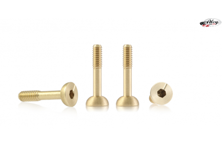 Screws for Suspensions 4,25mm Ø x 9.5 mm Ball Head