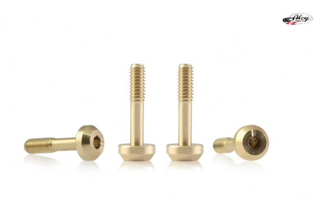 Tornillería para Suspensiones 4mm Ø x 9,5 mm  Cabeza Plana redonda