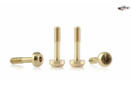 Screws for Suspensions 4,25mm Ø x 9,5 mm Round Flat Head