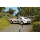 Ford Capri 2600 LV Tour de France 1973 Rally