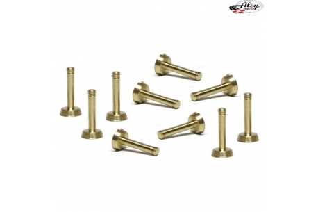 Brass screws 2.2 x 9mm long head.