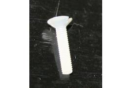 Nylon screw M2x10mm (x 10) cab.avellanada